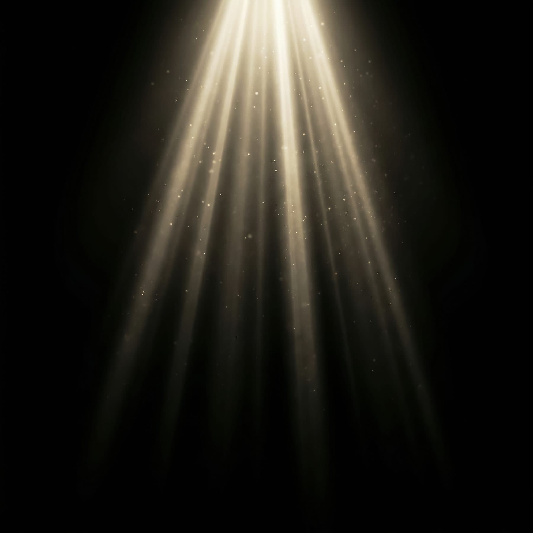 Light & Texture Bundle