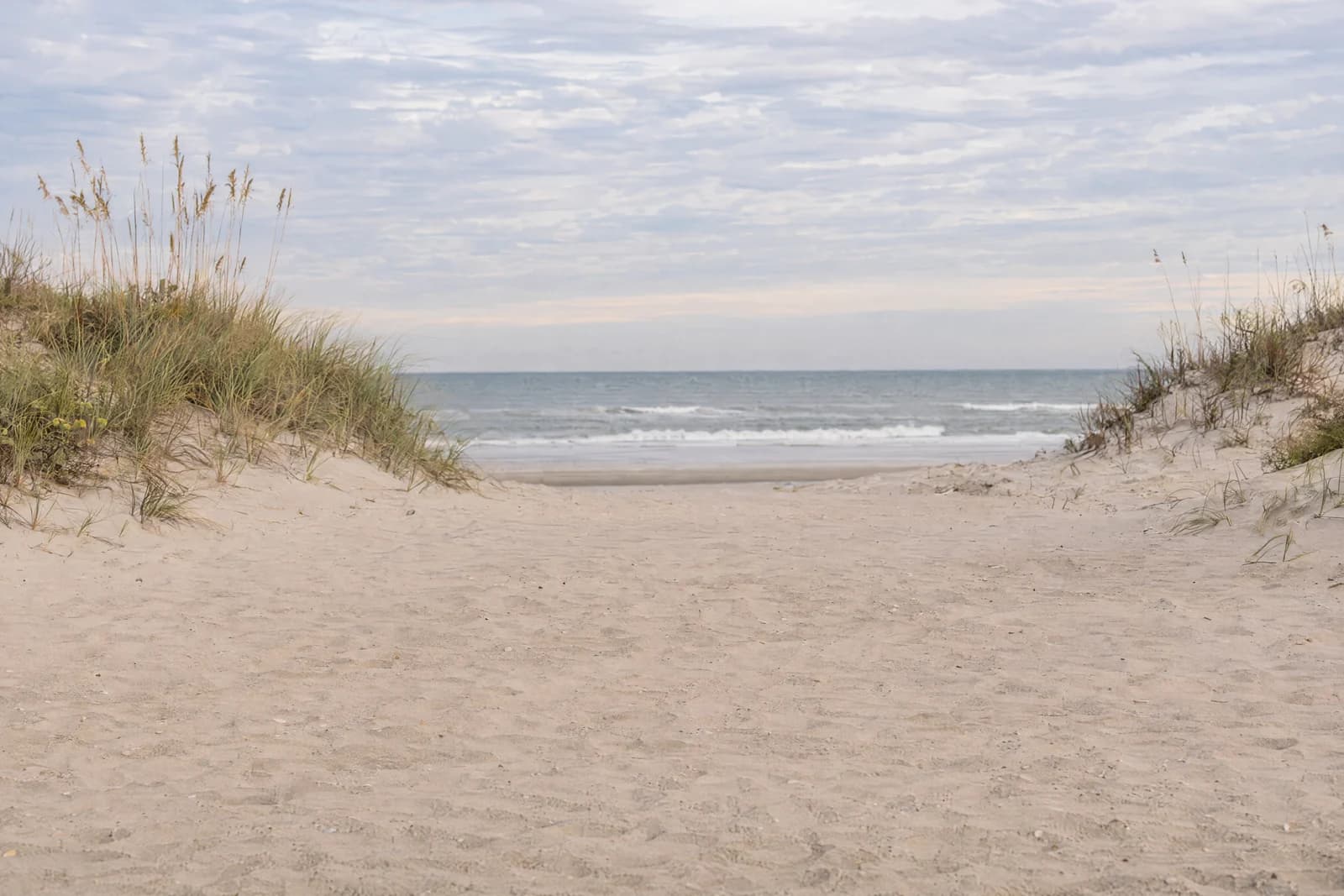Quiet beach dunes — empty photographic background
