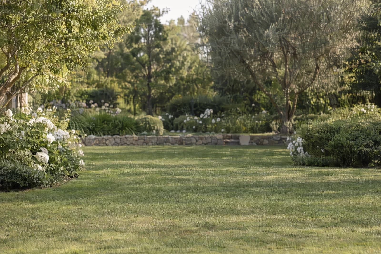Country garden lawn — empty photographic background