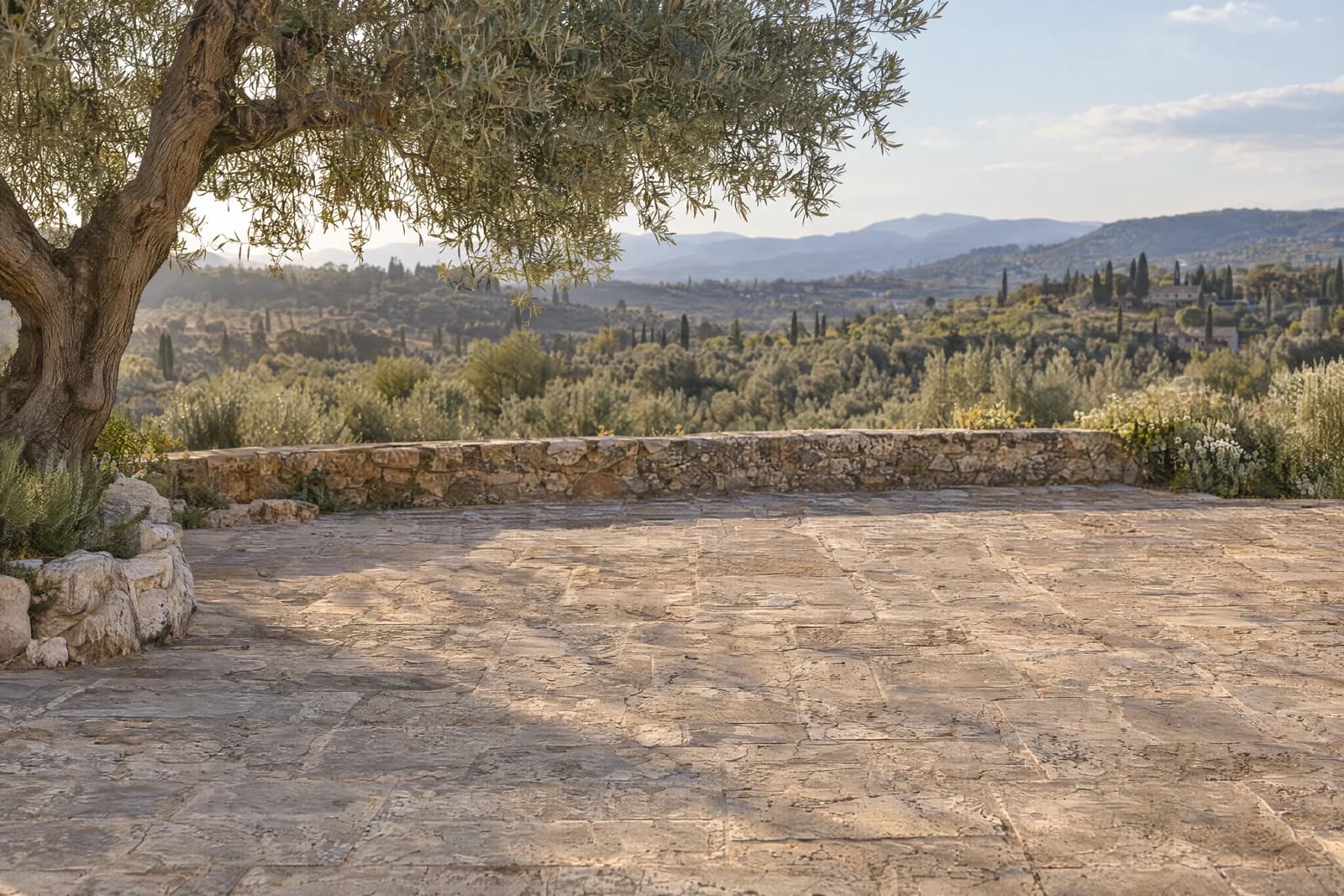 Olive garden terrace — empty photographic background